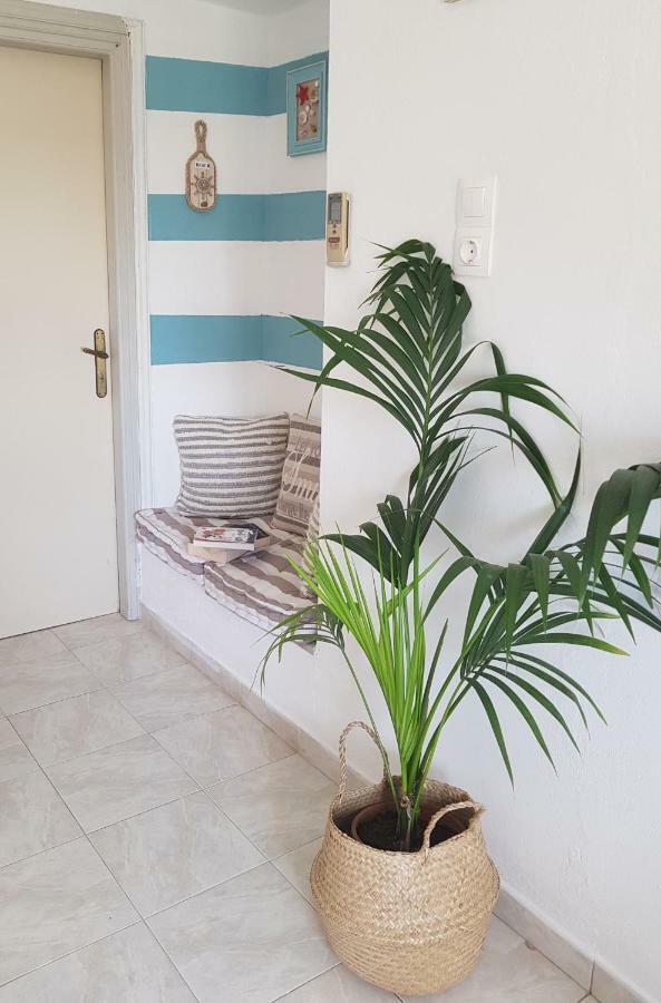 Mesogitonia House Διαμέρισμα Káto Zákros Εξωτερικό φωτογραφία